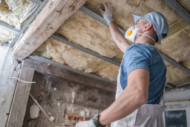 Best Commercial Insulation in Golden Gate, FL